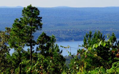 The Secret World Beneath the Ozarks